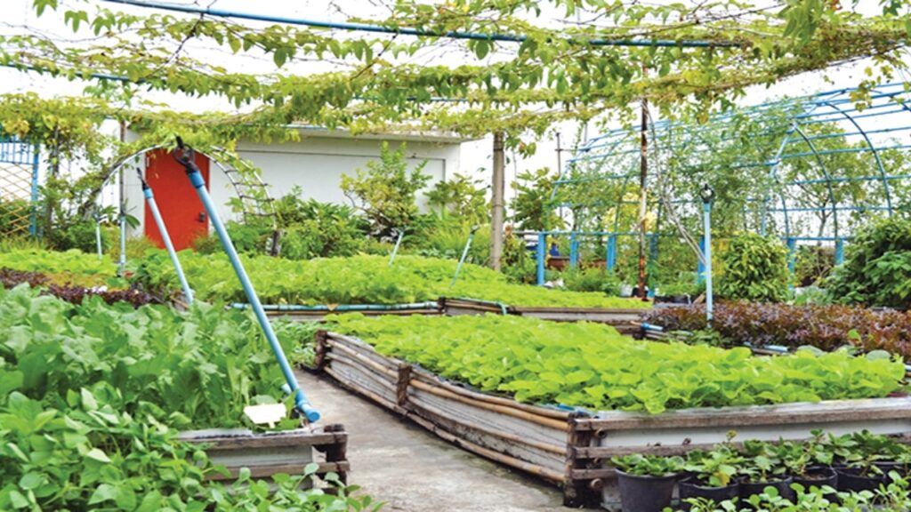 Startup opportunity in making roof floor agricultural land