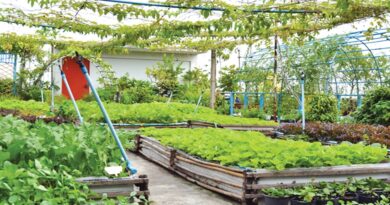 Startup opportunity in making roof floor agricultural land